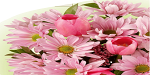 Florist Logo