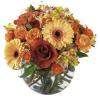 The FTD Natural Elegance Bouquet