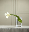 The FTD White Calla Bouquet