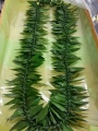 Ti Leaf LEI   please call for availability and read instructions 