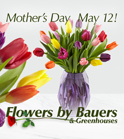 Flowers By Bauers Greenhouses Special Sunday Hours 9 Am To 4 Pm Mon Sat 9 Am To 7 Pm Jarrettsville Md 21084 Ftd Florist Flower And Gift Delivery
