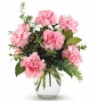 Pink Perfection Carnation Bouquet