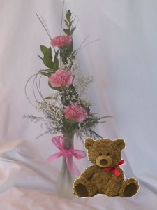 Carnation Vase and a Teddy Bear