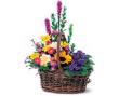 Basket of Glory - by Charleston Cut Flower Co.