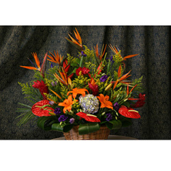 West Hollywood Florist Tropical Island Floral Arrangement West Hollywood Ca Ftd Florist Flower And Gift Delivery