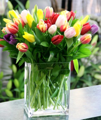 LA285 tulips vase