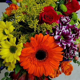 Harry's Flowers Bouquet of Multicolor Roses Victoria, BC, V8R 1C3 FTD Florist  Flower and Gift Delivery