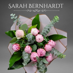Sarah Bernhardt Peonies