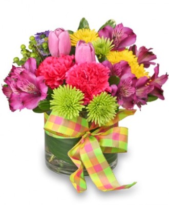 Neil's Flowers And Greenhouses Get Well Kingston, ON, K7L 4V4 FTD Florist  Flower and Gift Delivery