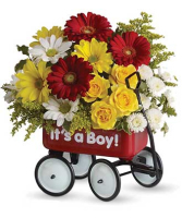 Babys First Wagon Boy 
