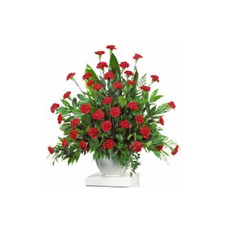 CARISMA FLORISTS  Carnations Container