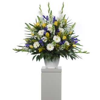 CARISMA FLORISTS White Daisies Container