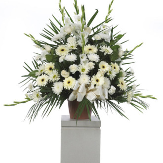 CARISMA FLORISTS White roses Container 4 