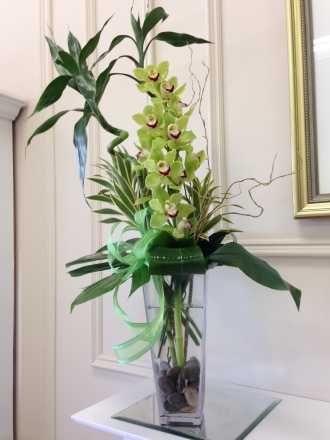 Carisma Florists Squisito Green Cymbidium Orchid