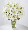 The FTD Spirited Grace Lily Bouquet