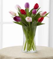 The FTD Tender Tulips Bouquet