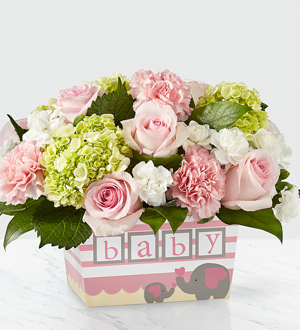 The FTD Darling Baby Girl Bouquet
