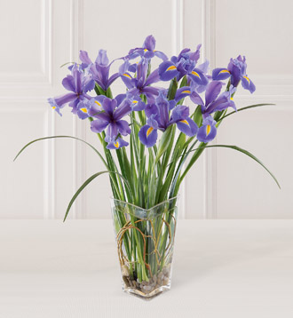 The FTD Blooming Iris Bouquet