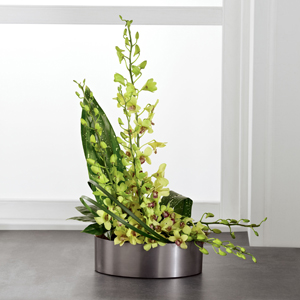 The FTD Irresistible Orchid Arrangement