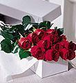 The FTD One Dozen Boxed Roses