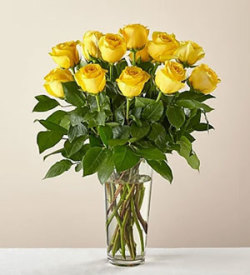 Joseph Vacha & Sons Inc Long Stem Yellow Rose Bouquet Oak Forest, IL, 60452  FTD Florist Flower and Gift Delivery