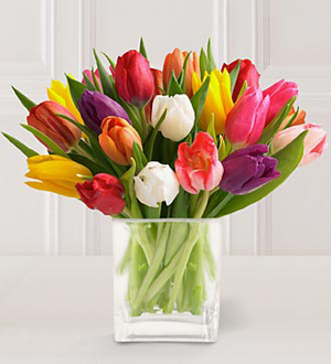 Veinte tulipanes surtidos con florero de cristal