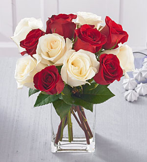 Una docena de rosas favoritas rojas y blancas con florero