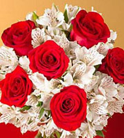 Red Rose and White Alstroemeria Bouquet - Wrapped