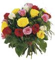 Bouquet de roses multicolores