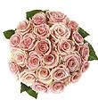 Bouquet de 25 rosas