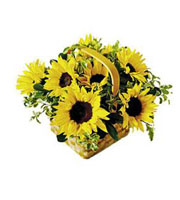 The FTD Sunflower Basket