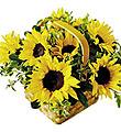 The FTD Sunflower Basket