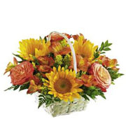 The FTD Happy Blooms Basket
