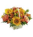 The FTD Happy Blooms Basket