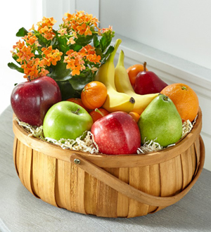 The FTD Plant and Fruit Basket