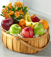 The FTD Plant and Fruit Basket