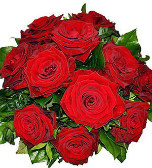 Enduring Passion - 12 Red Roses in Weatherford TX - Greene's Florist
