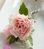 The FTD Pink Spray Rose Boutonniere