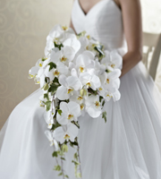 Le bouquet Blanc clasiqueMC de FTD
