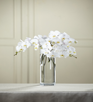 Le bouquet Orchides papillon blanches de FTD