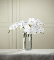 Le bouquet Orchides papillon blanches de FTD