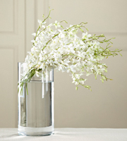 The FTD White Dendrobium Bouquet