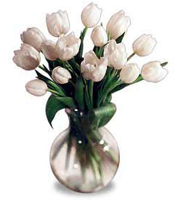 Tulip Bouquet White