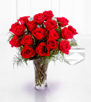 The FTD Premium 18 Long Stemmed Red Roses Bouquet