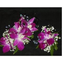 Bombay Orchid Corsage & Boutonniere
