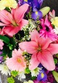 Pastel Wrap Bouquet 