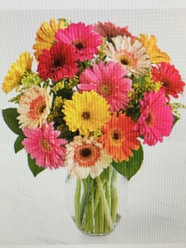 Colorful Gerbera Daisy Bouquet