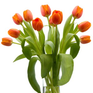The Tulip Bouquet - Orange