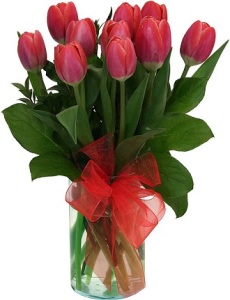 The Tulip Bouquet - Red