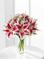 The Pink Lily Premium Bouquet 